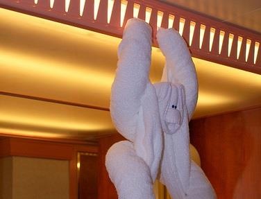 Khan tam 'du lo lung' trong phong khach san khien du khach thich thu hinh anh