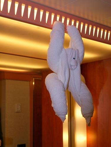 khan tam du lo lung anh 6