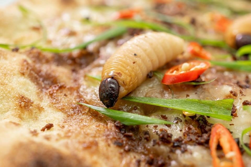 pizza đuông dừa ảnh 3 pizza duong dua anh 3
