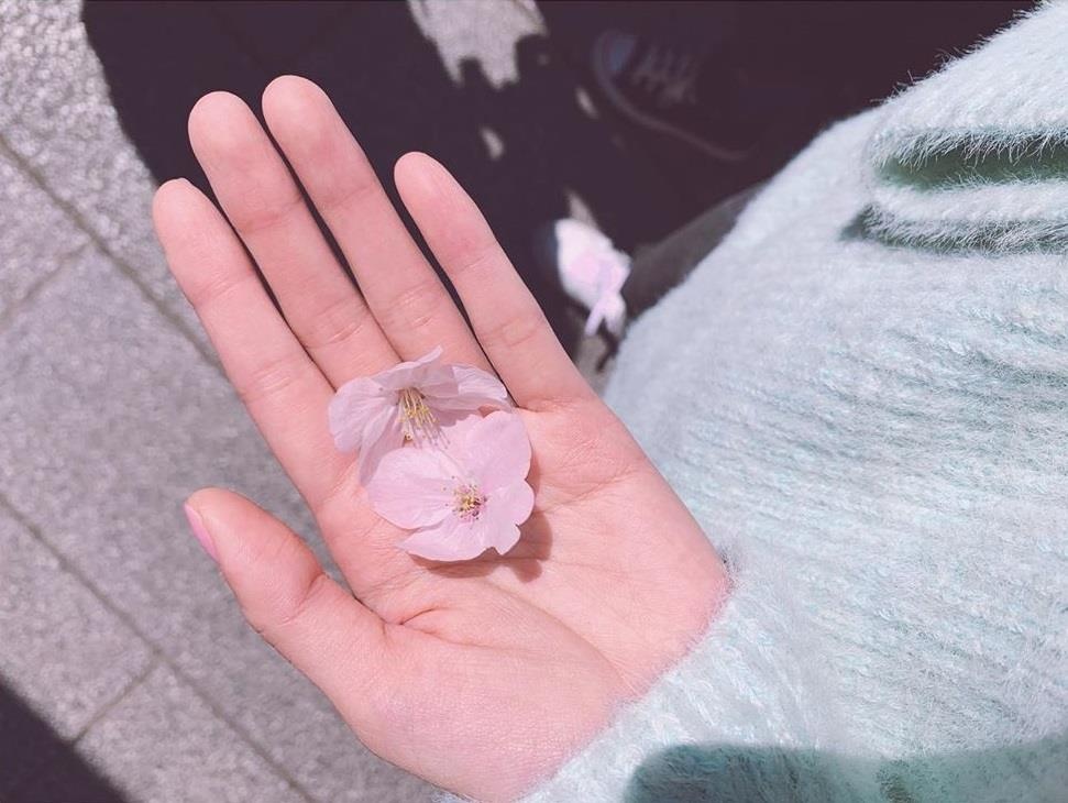 ca si phuong ly anh 16