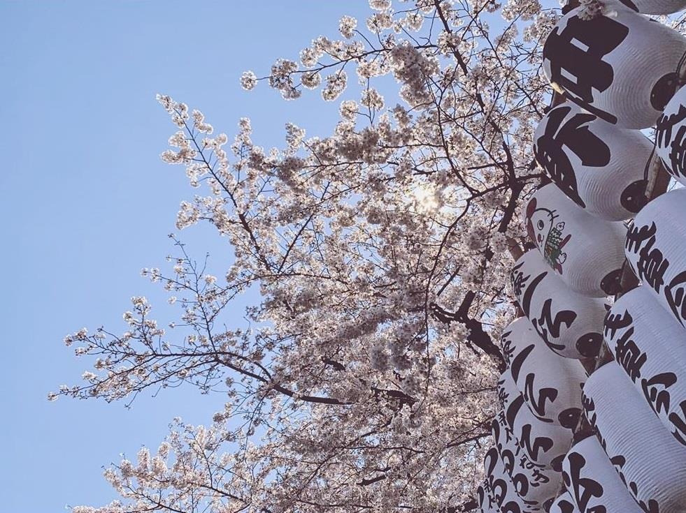 ca si phuong ly anh 15