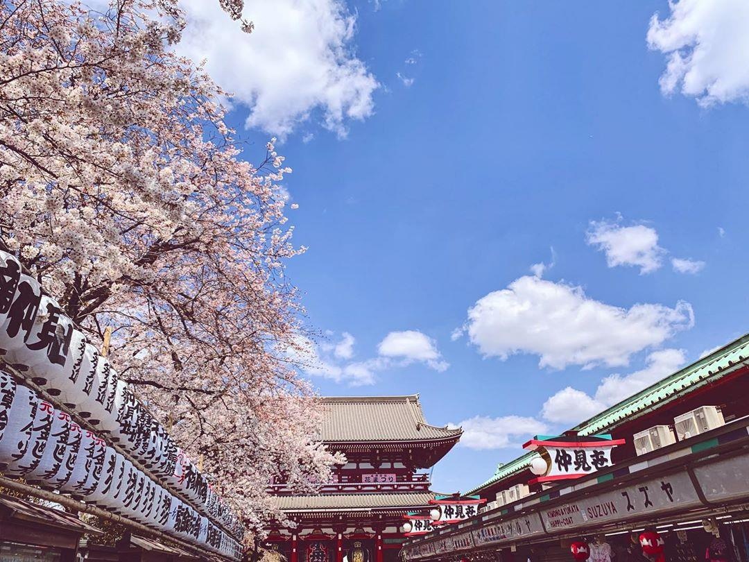 ca si phuong ly anh 14