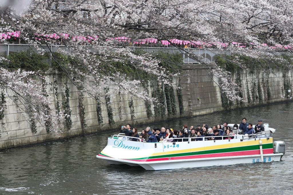 ca si phuong ly anh 7