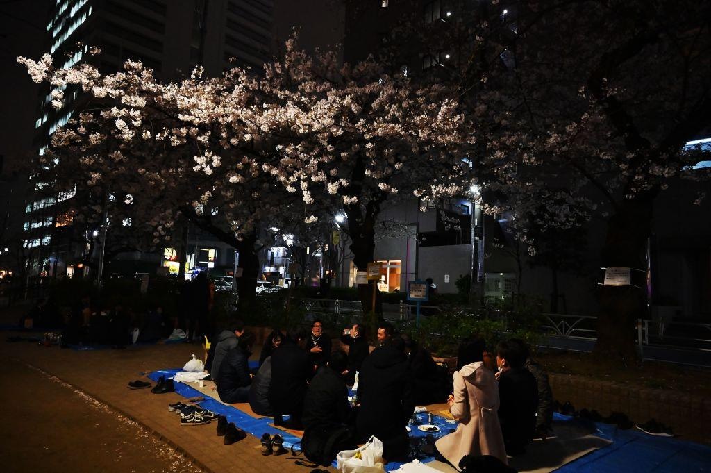 ca si phuong ly anh 12