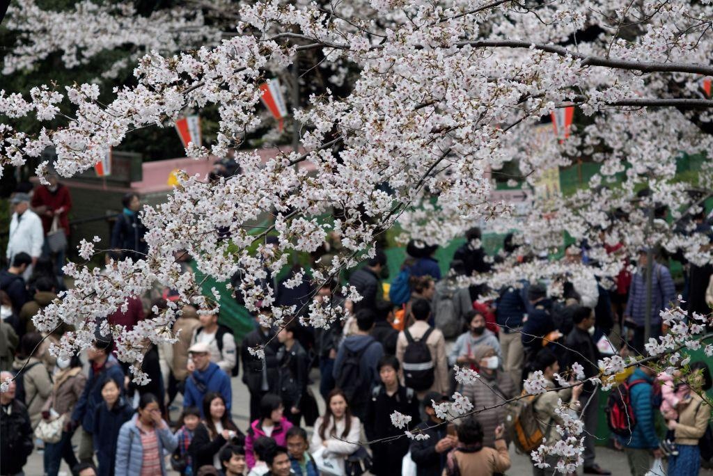 ca si phuong ly anh 8