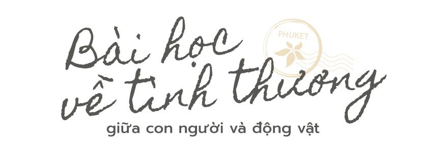 khám phá thái lan ảnh 4 kham pha thai lan anh 4