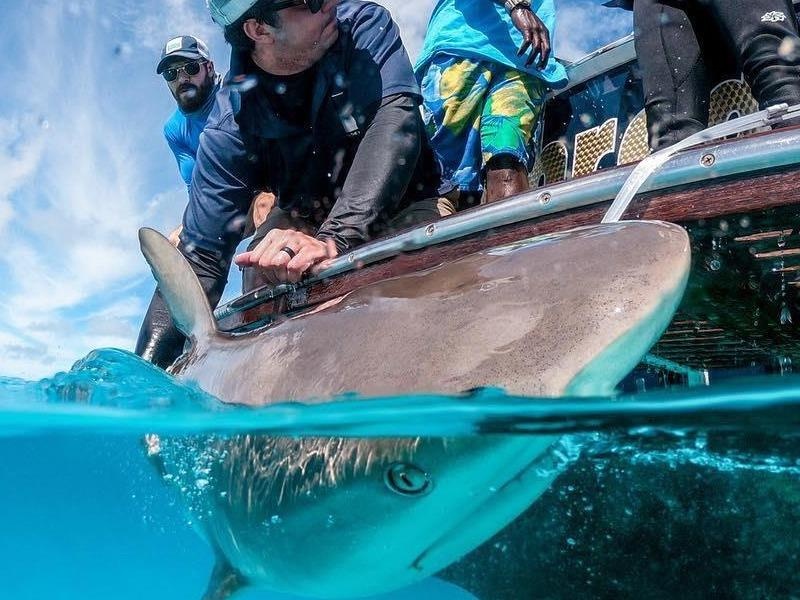 Resort mo dich vu san ca map phuc vu nhu cau giai tri cua khach hinh anh