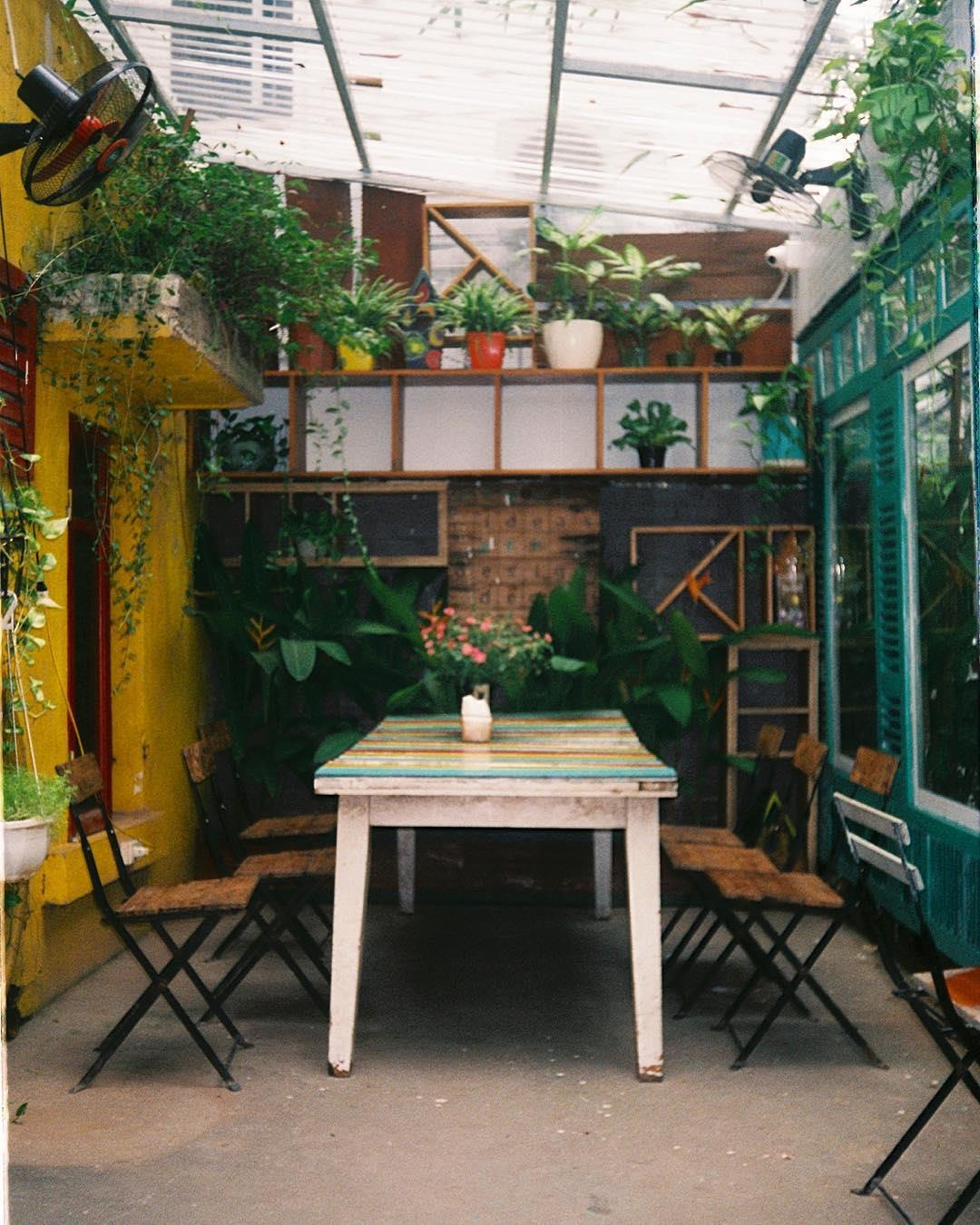 ca phe hoai co anh 23