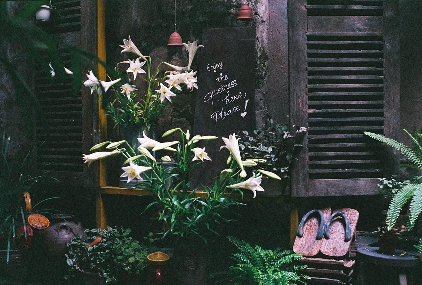 ca phe hoai co anh 16