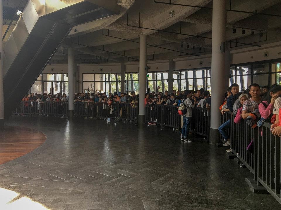 cau kinh truong gia gioi anh 8