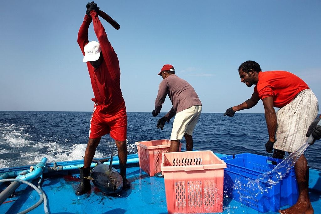 ca map tan cong anh 2