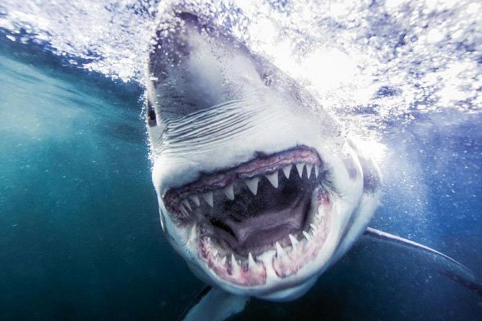 Nhung nguyen tac song con de tranh bi ca map tan cong hinh anh