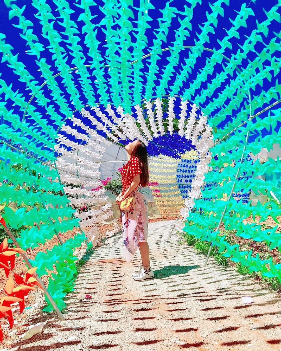 con duong chong chong anh 1