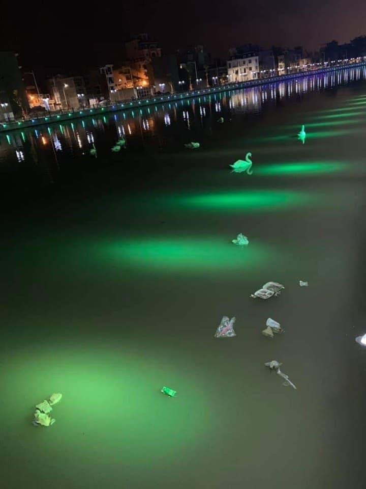 thiên nga hải phòng ảnh 1 thien nga hai phong anh 1