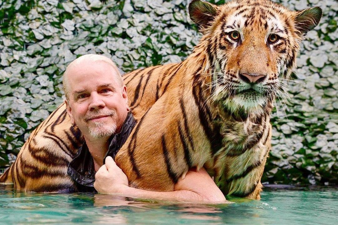 Boi cung ho, choi bong bau duc voi tinh tinh o safari doc dao hinh anh