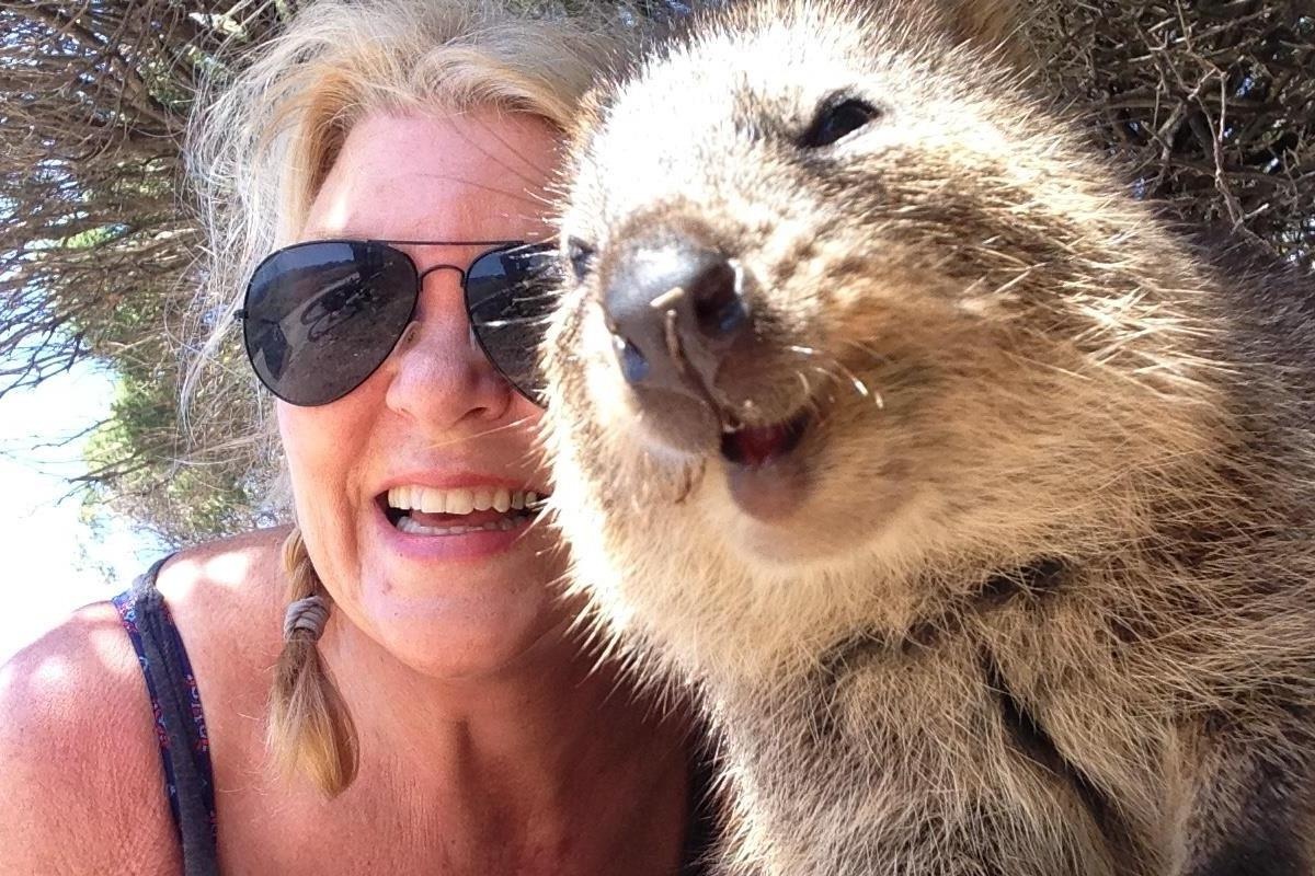 Selfie cuu loai dong vat hanh phuc nhat the gioi khoi tuyet chung hinh anh