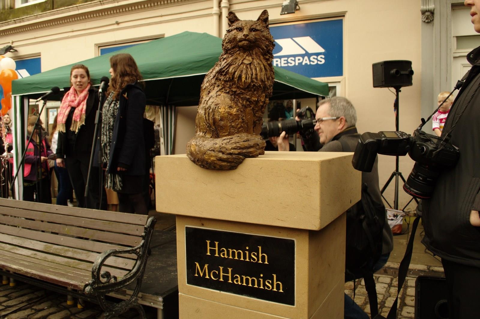 tuong cho,  meo anh 6