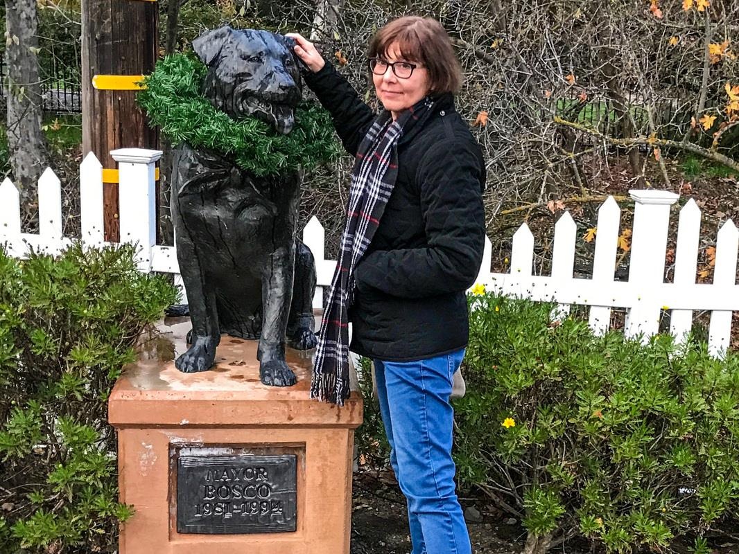 tuong cho,  meo anh 9