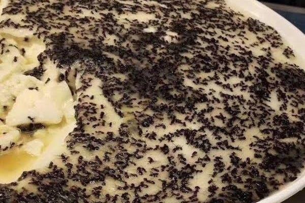 Dac san trung hap kien lon nhon gia 0,5 USD hut sinh vien Trung Quoc hinh anh