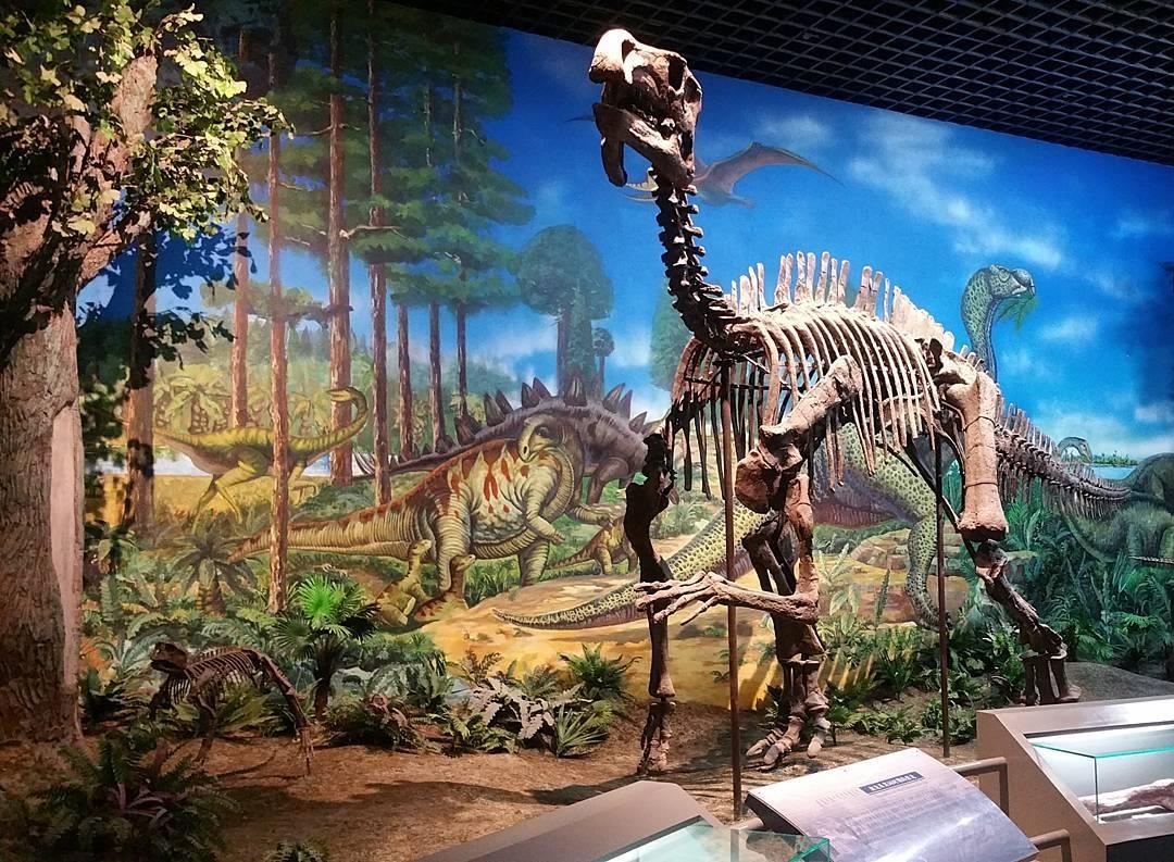 du lich noi mong anh 16