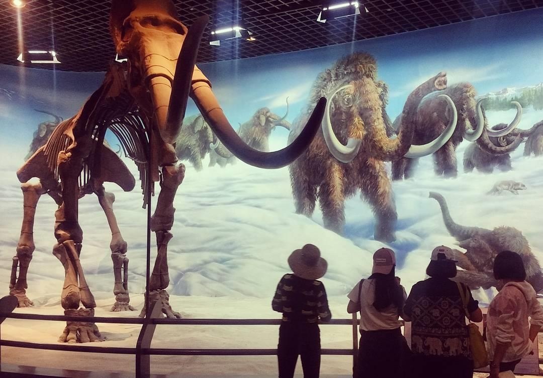 du lich noi mong anh 15