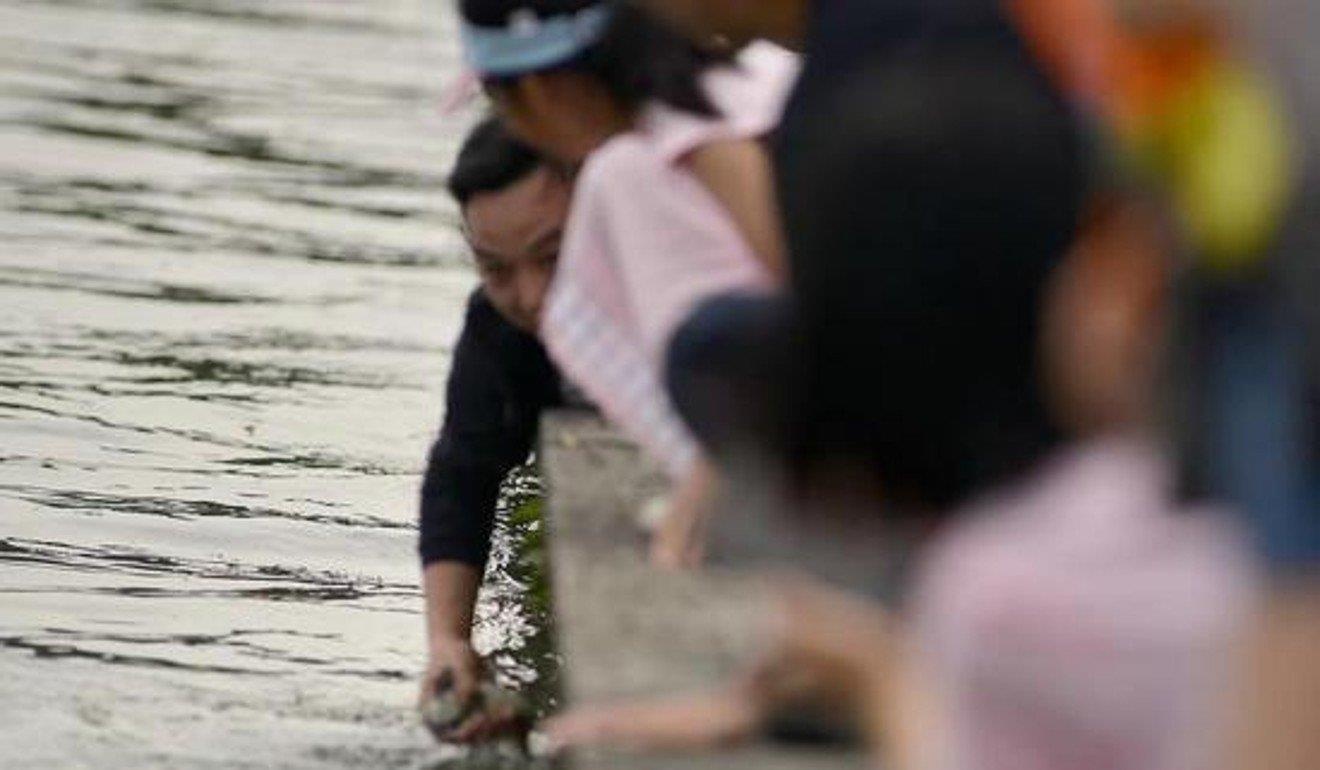 khach du lich bat vit anh 1