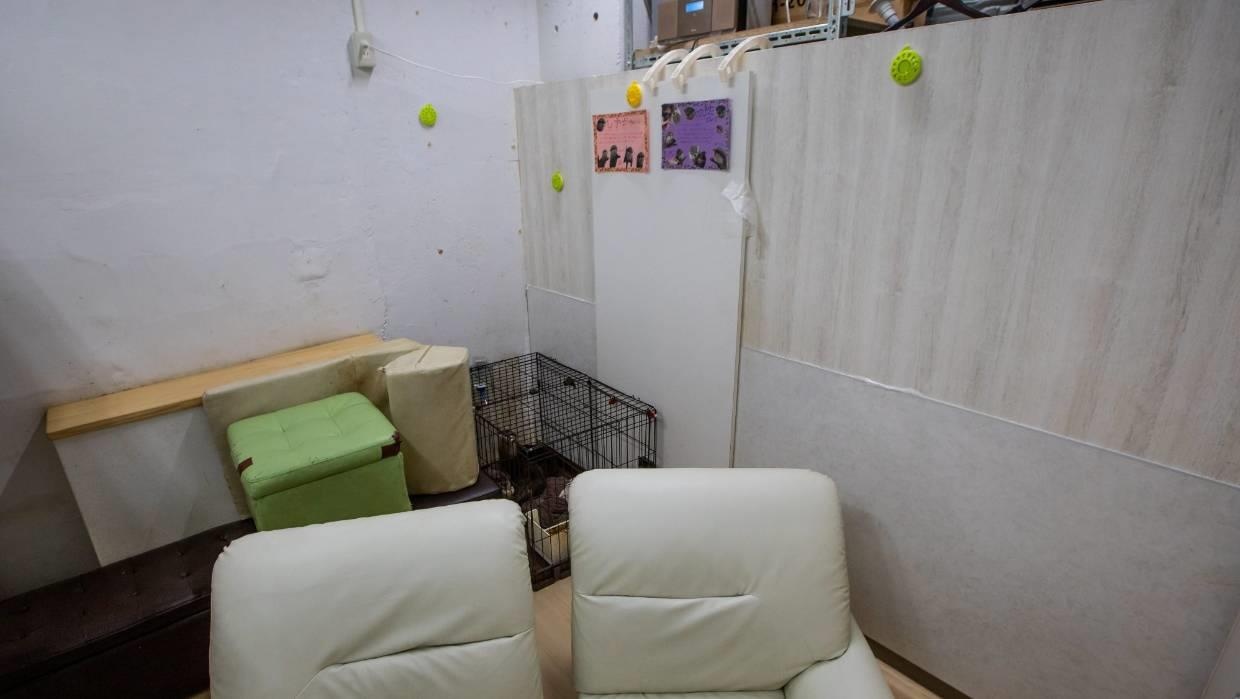 cà phê rái cá ảnh 4 ca phe rai ca anh 4