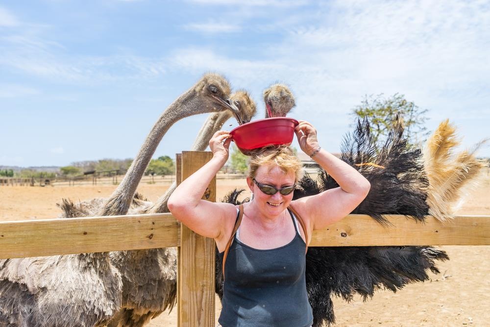 curacao la nuoc nao anh 13