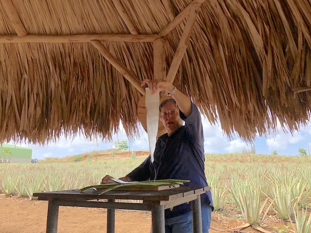 curacao la nuoc nao anh 8