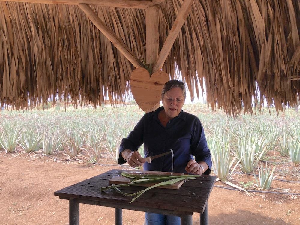 curacao la nuoc nao anh 9