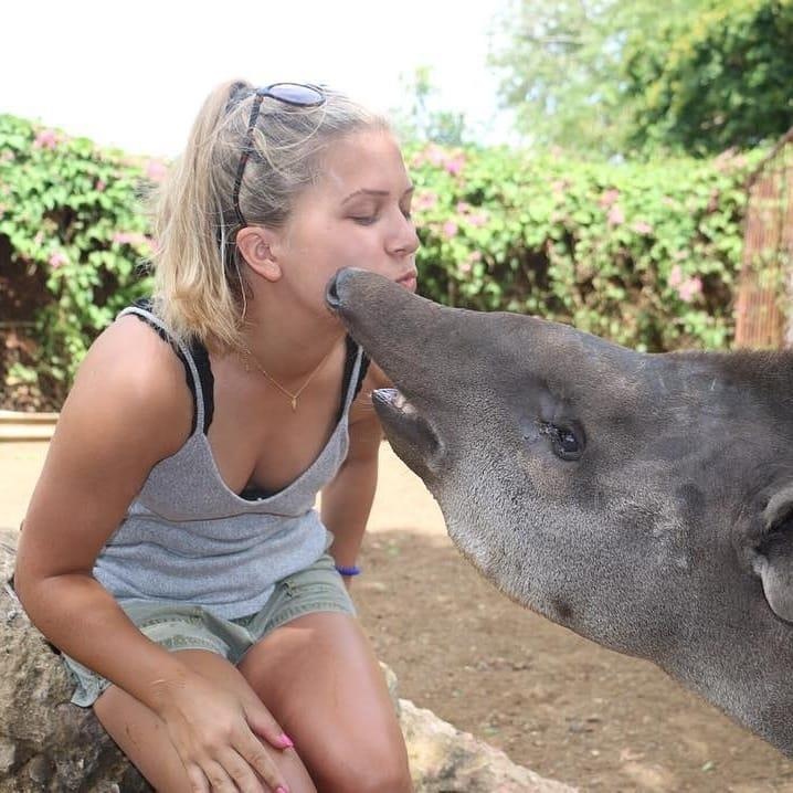 quoc dao curacao anh 22