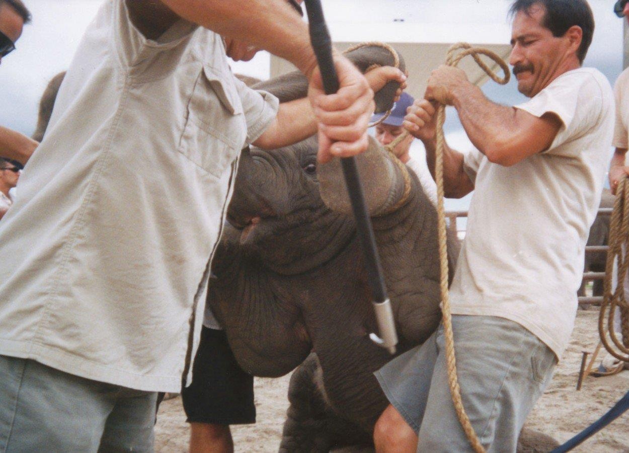 day voi lam xiec anh 7