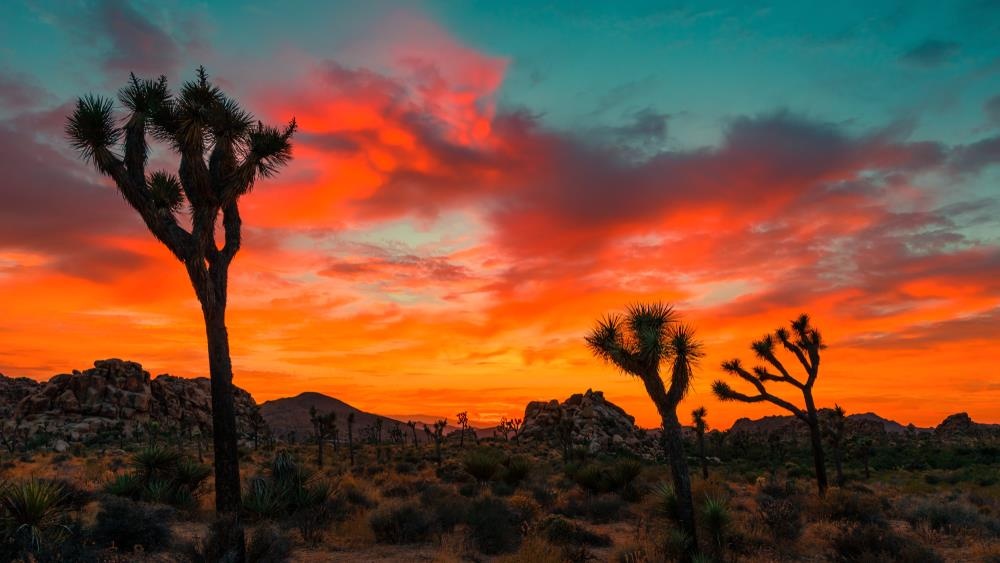 mv son tung m-tp anh 3