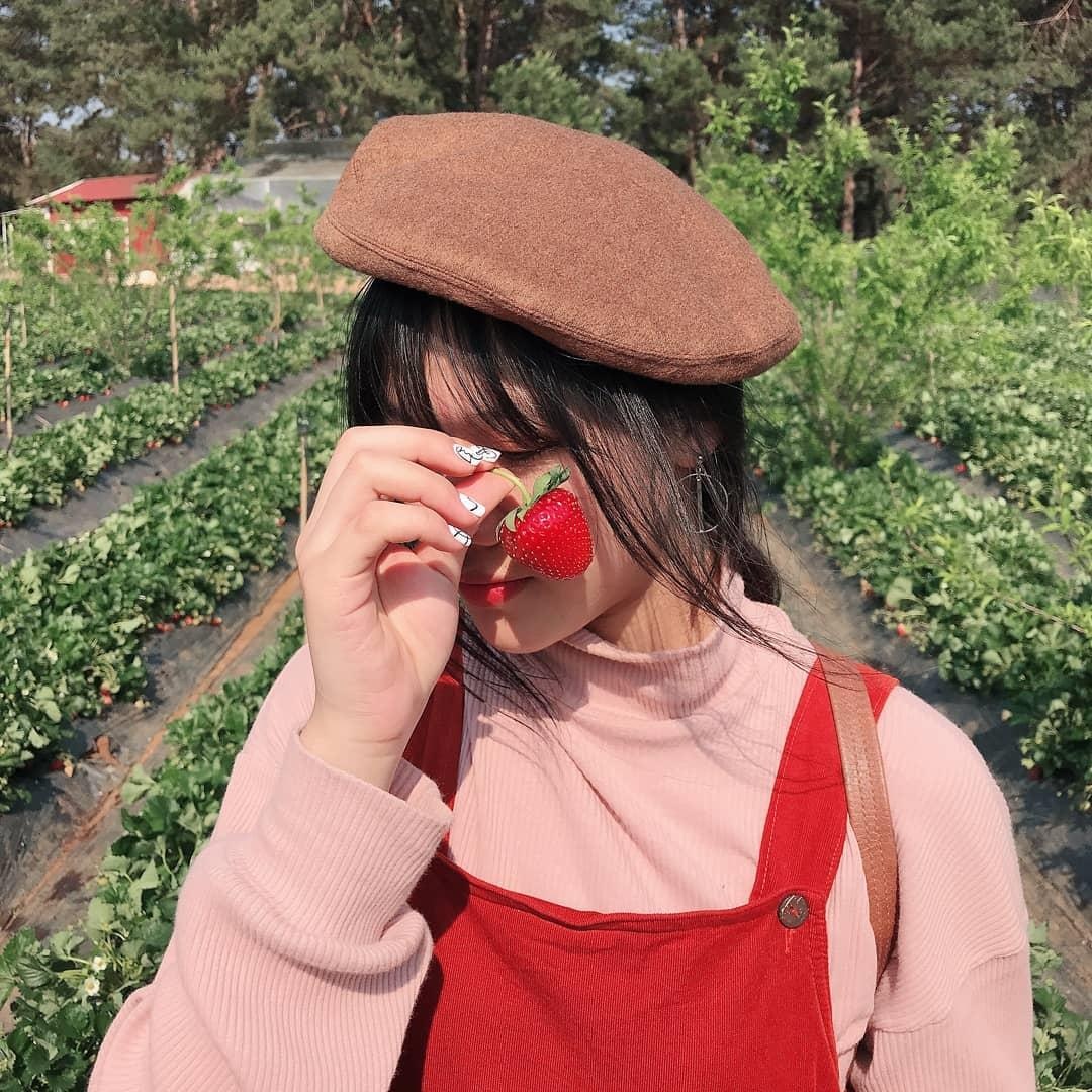 vuon dau moc chau anh 12