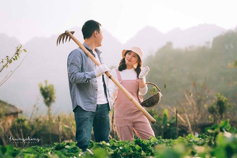 vuon dau moc chau anh 2