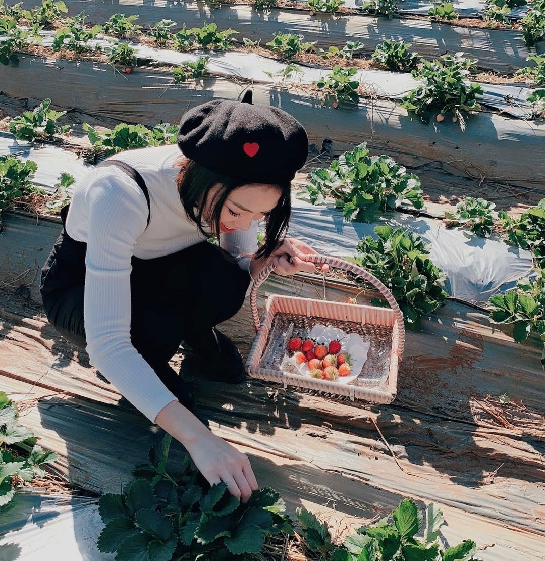 vuon dau moc chau anh 13