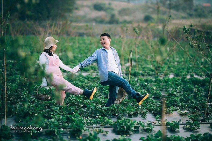 vuon dau moc chau anh 5