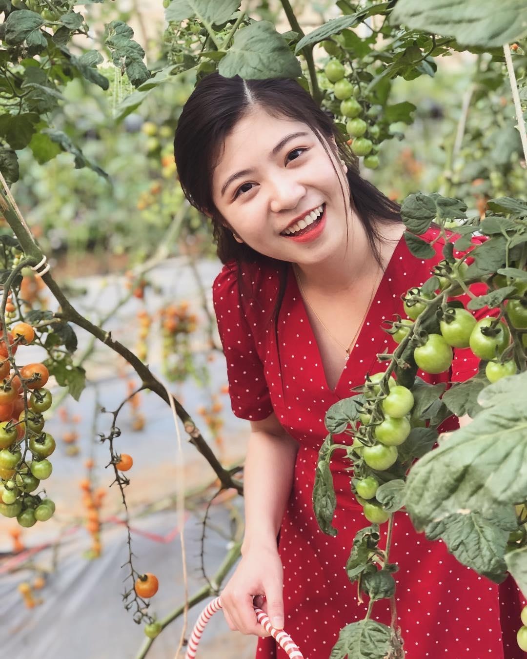 vuon dau moc chau anh 20