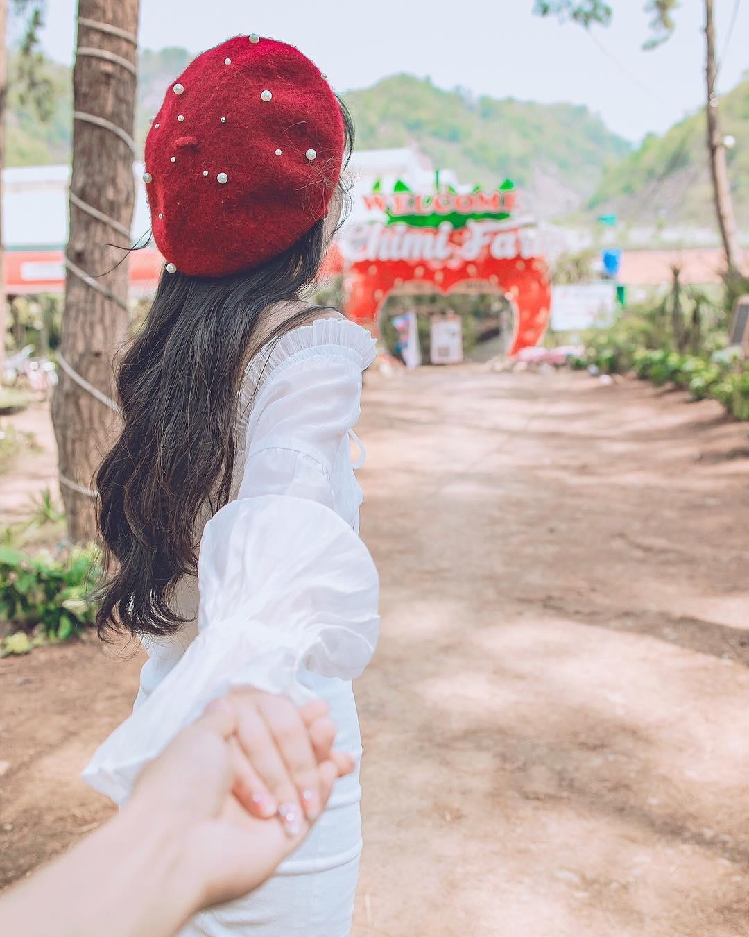 vuon dau moc chau anh 7