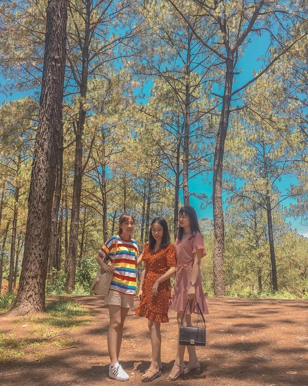 vuon dau moc chau anh 22