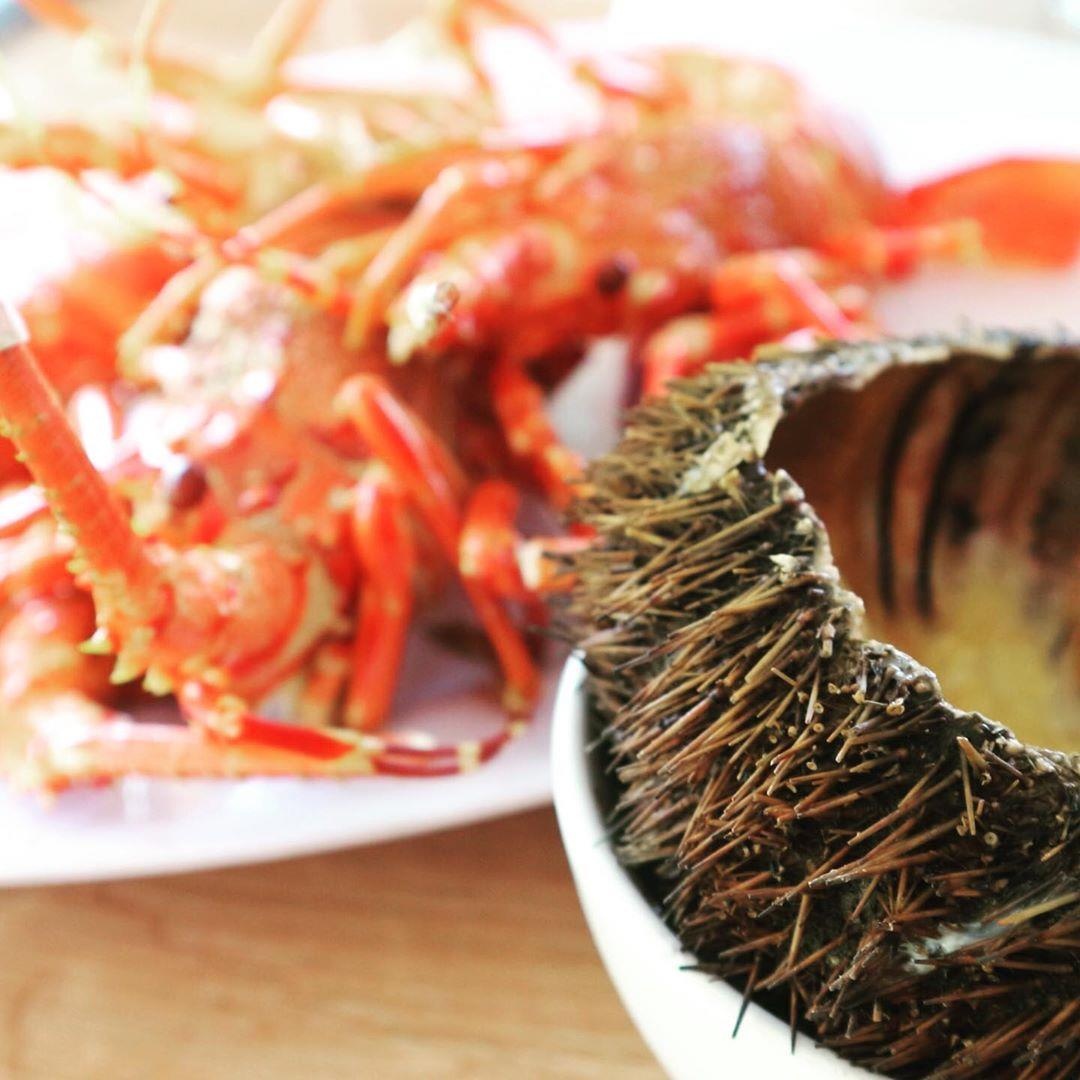 du lich phu yen anh 14