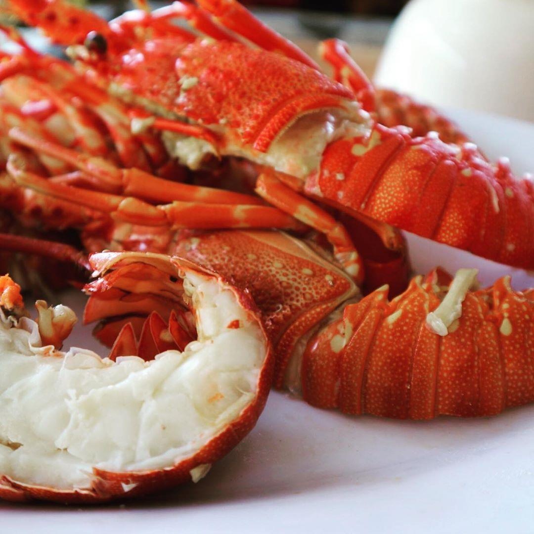 du lich phu yen anh 12