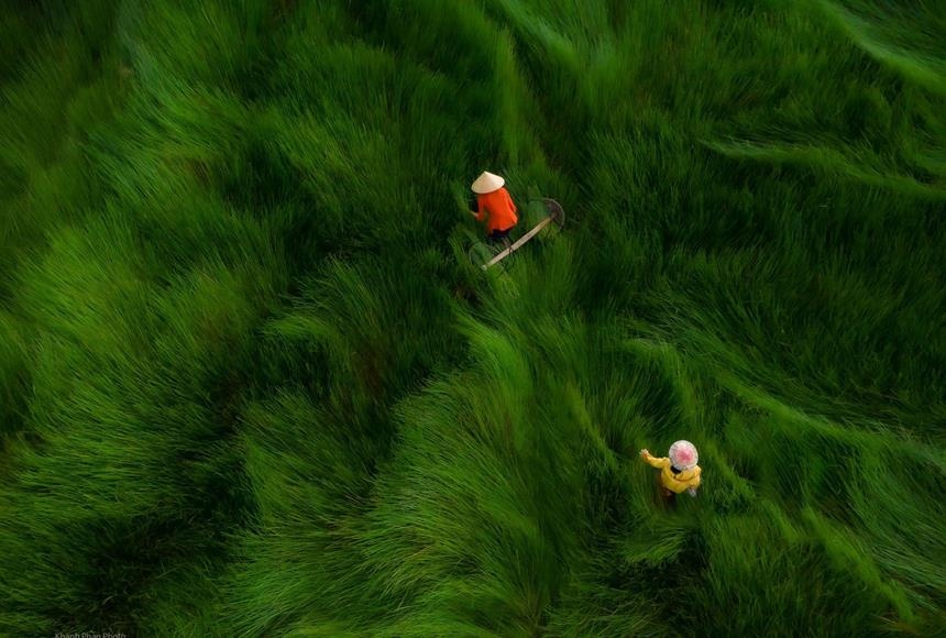 Viet Nam tuyet dep trong clip huong dan khach Tay du lich mot minh hinh anh