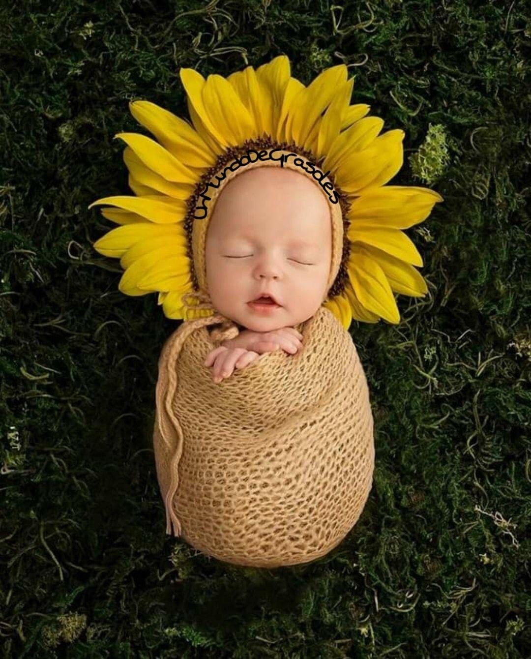 chup anh hoa huong duong anh 18