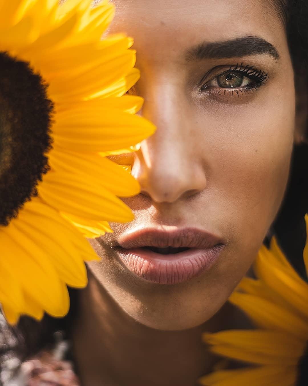 chup anh hoa huong duong anh 7