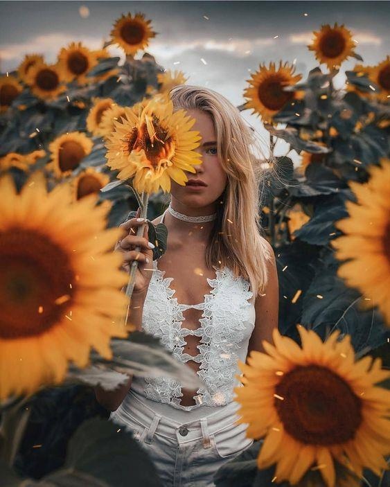 chup anh hoa huong duong anh 1