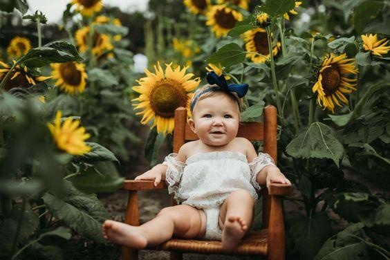 chup anh hoa huong duong anh 20