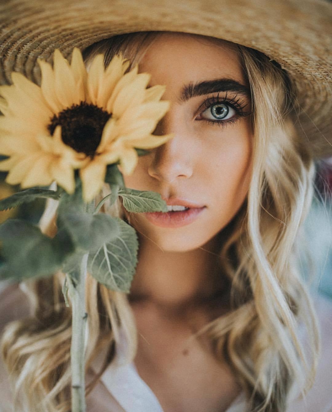 chup anh hoa huong duong anh 8