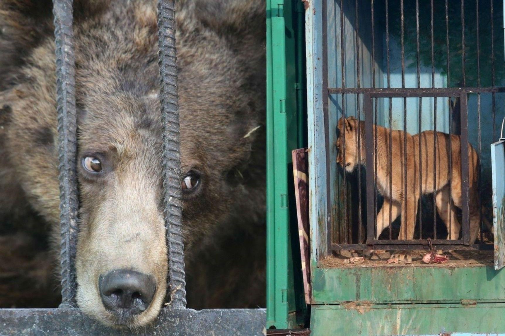 Bi mat tan nhan sau song sat cac so thu khong muon khach biet hinh anh