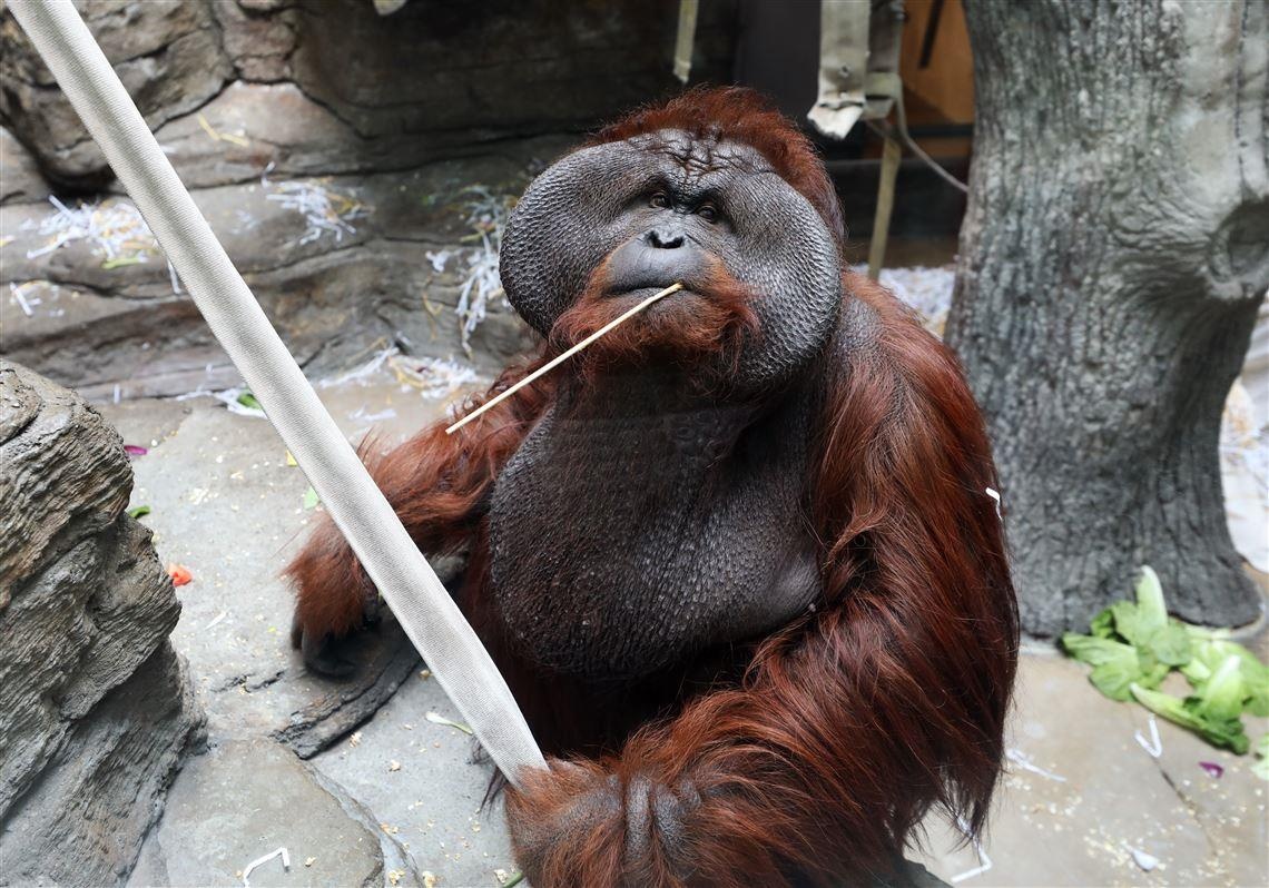 su that ve so thu anh 10